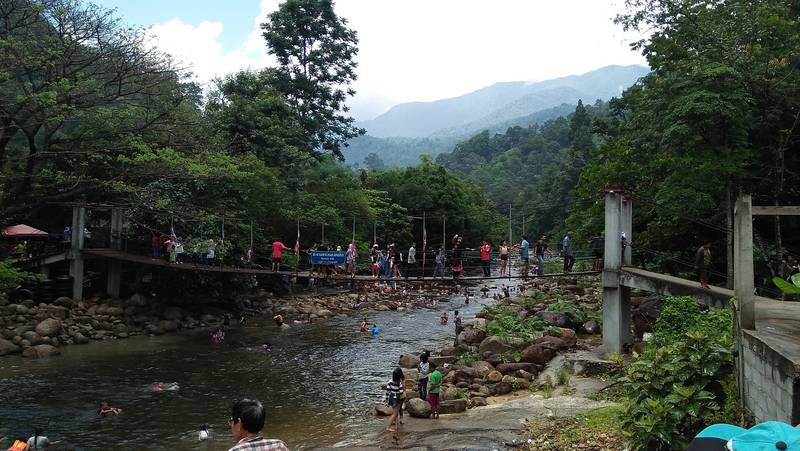 ลำธารใสไหลผ่านโขดหินใหญ่กลางป่าเขียว